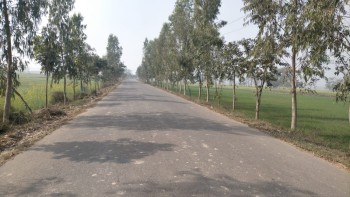 परोहाको वृक्षारोपणः समृद्धिको पक्षपोषण