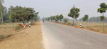 परोहाले हुलाकी सडक खण्ड अन्तर्गतको डमार देखि बसन्तपट्टी सम्मको वृक्षारोपण गर्यो रङ्गरोगन