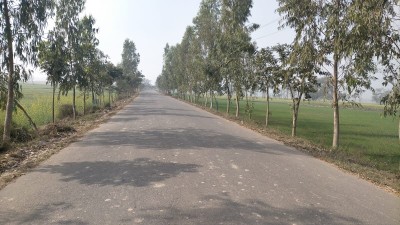 परोहाको वृक्षारोपणः समृद्धिको पक्षपोषण